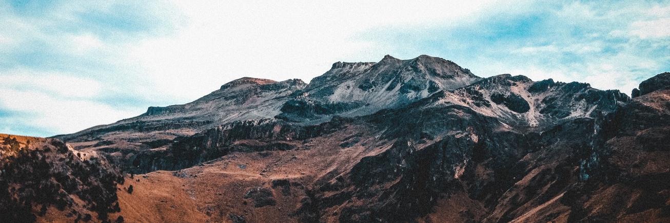 Twitter banner for @buds