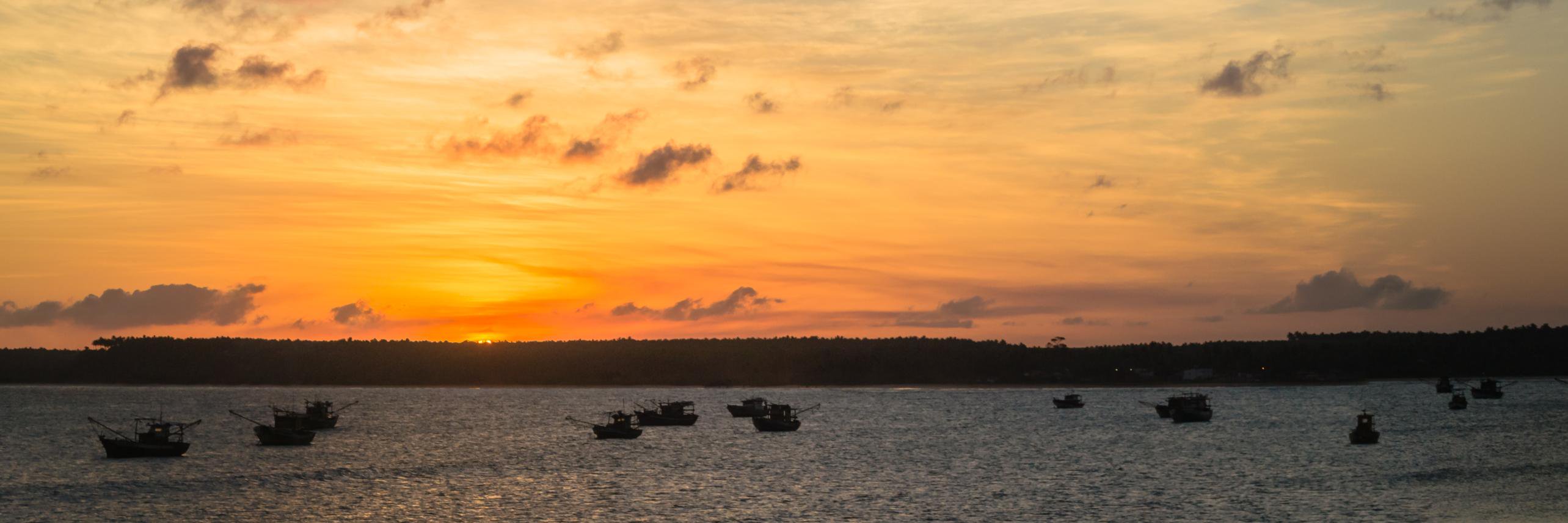 Marcos Mello🌿🇧🇷 banner