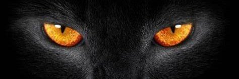 Night Watcher banner