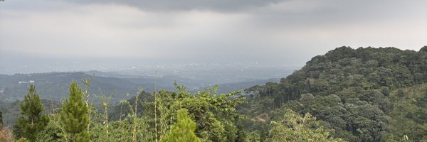 gilbhas Profile Banner