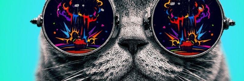 OrlandoMoort's profile banner image