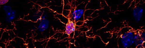 carldiaz92 Profile Banner