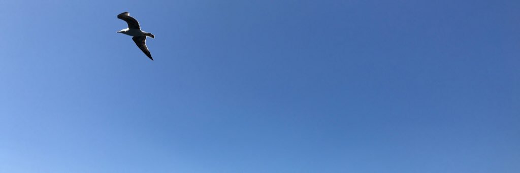 LuellaGoold's profile banner image