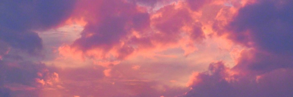 faguette banner