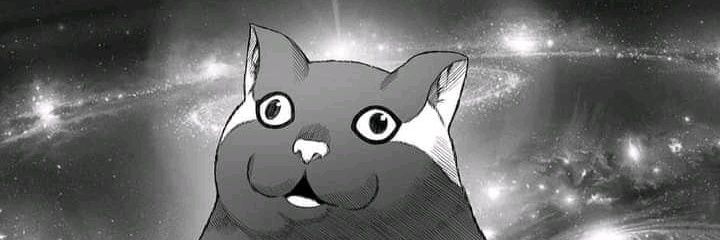 Kucing Cair banner