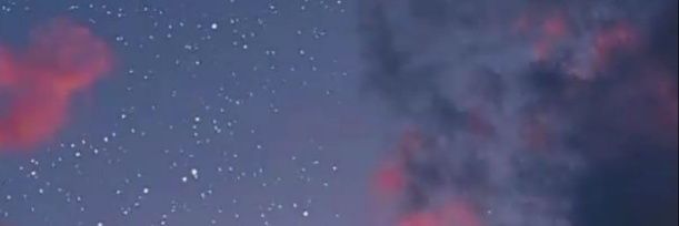 lly72704309's profile banner image