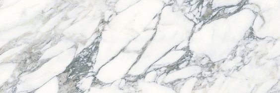 cansubaydarr's profile banner image