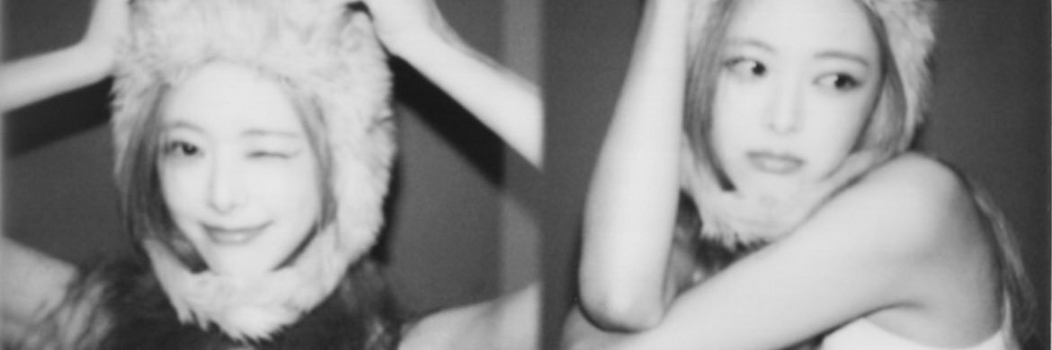 블링's banner