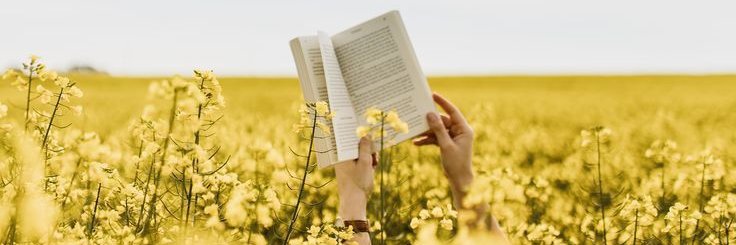 Sofía♡ banner