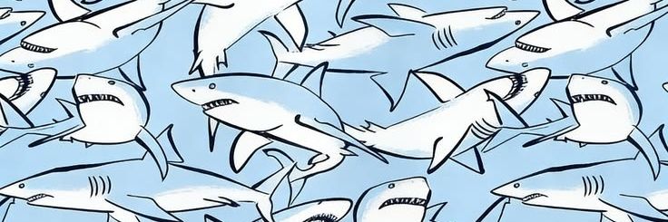 Nay 🦀 banner