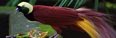 BumiSayid's profile banner image