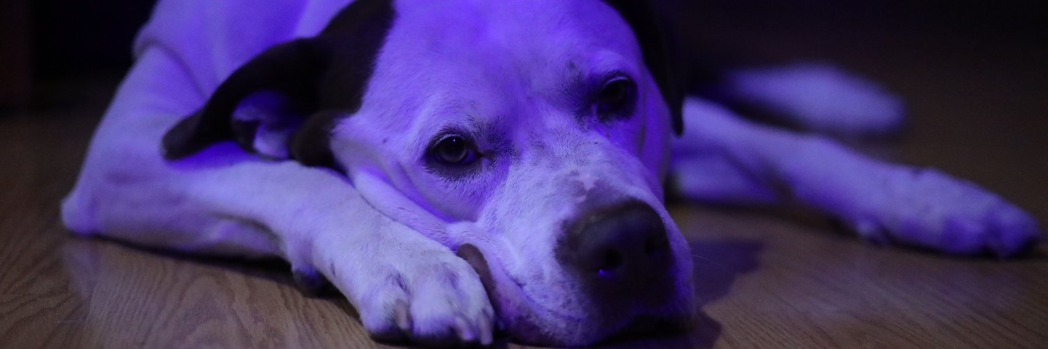 Radical SawMiller banner