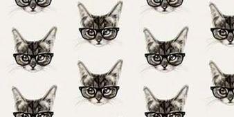 novianda_3's profile banner image