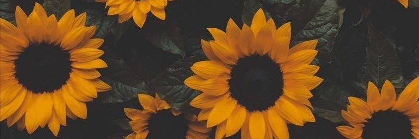 _lorelu's profile banner image