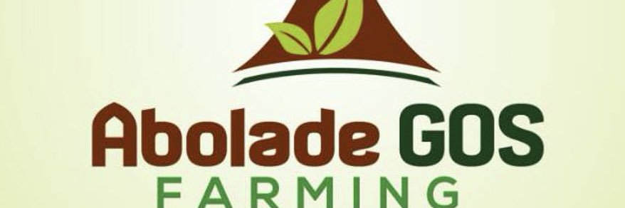 Alli Bolade banner