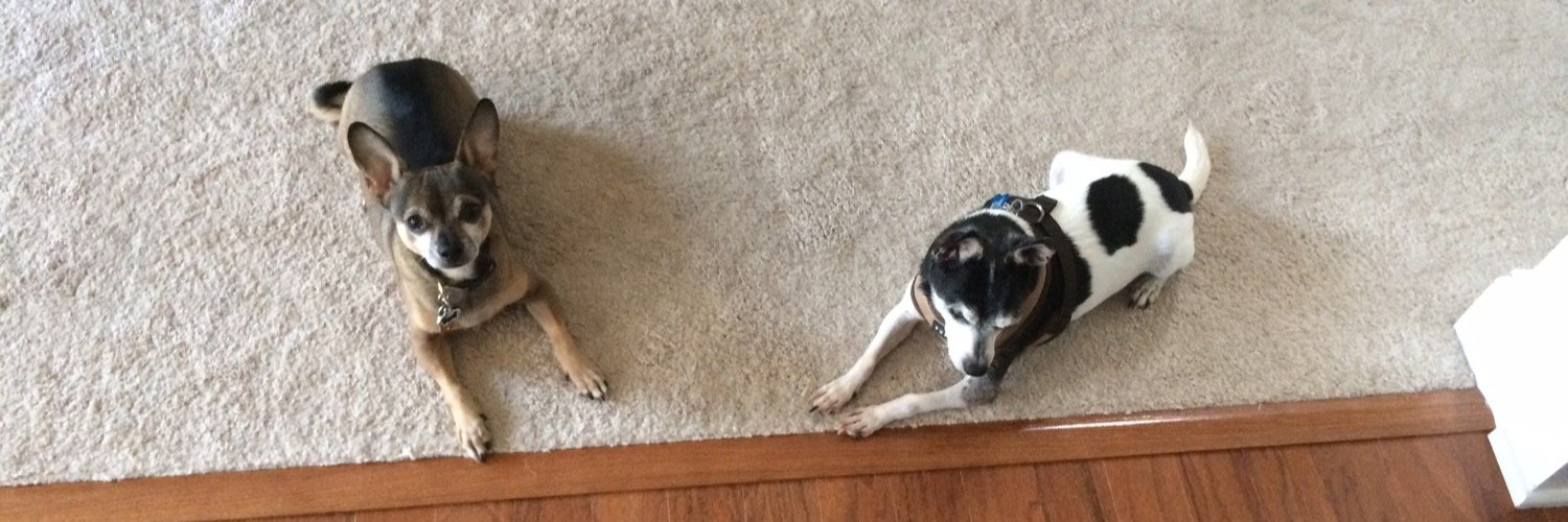 Brian Vrablic banner