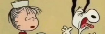 dipp banner