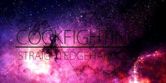 COCK FIGHTING banner