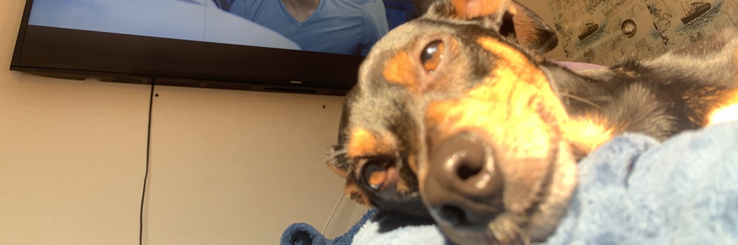 NFrankovski's profile banner image