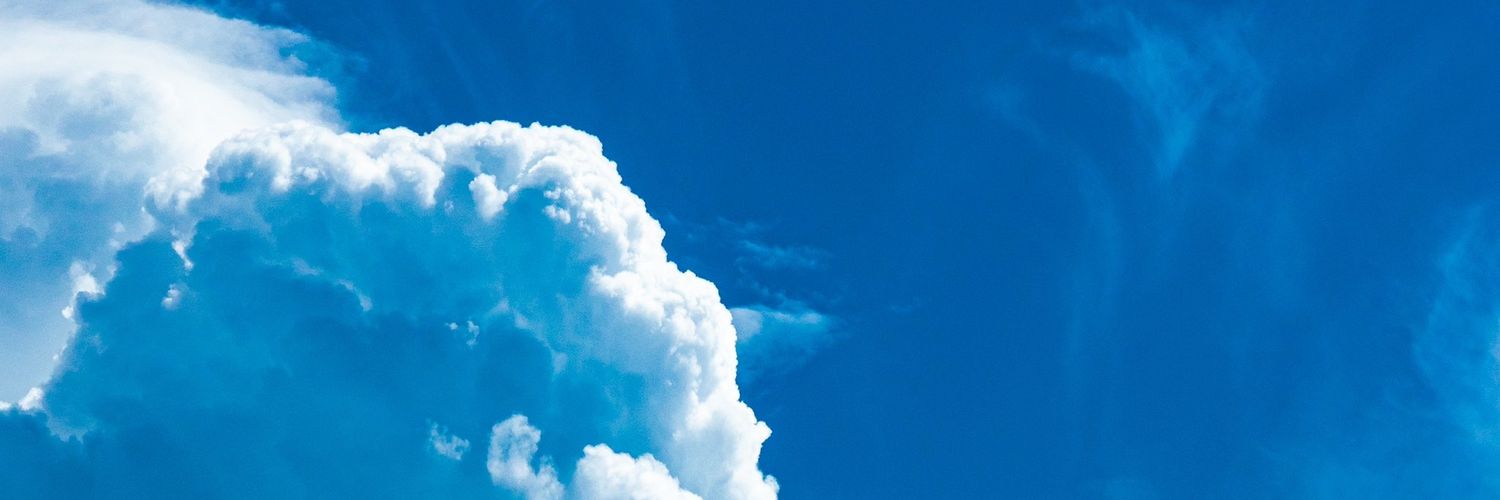 cactussboii's profile banner image