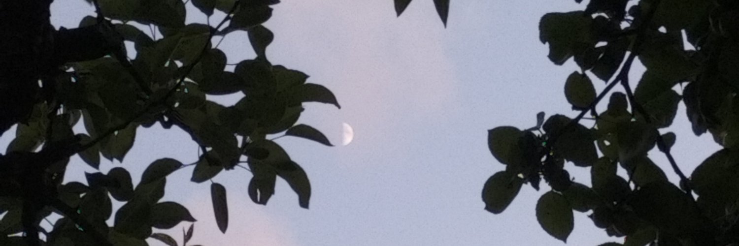 CautiousLex's profile banner image