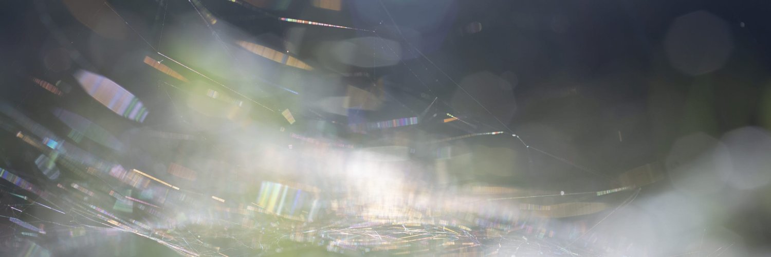 marigold_warner's profile banner image