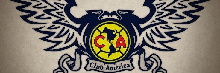 𝑨𝑳𝑶𝑵𝑺𝑶 🦅 banner
