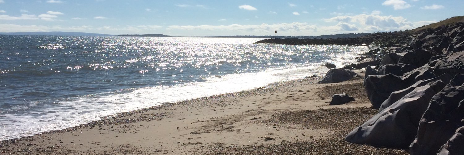 Plimbob's profile banner image