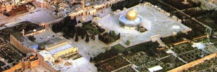 مساعد السلمي banner