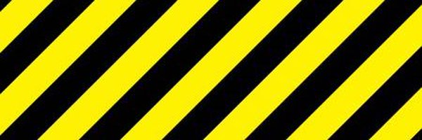 Ninaminguez Profile Banner