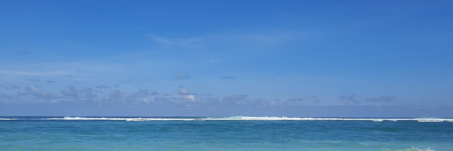 Luppti's profile banner image