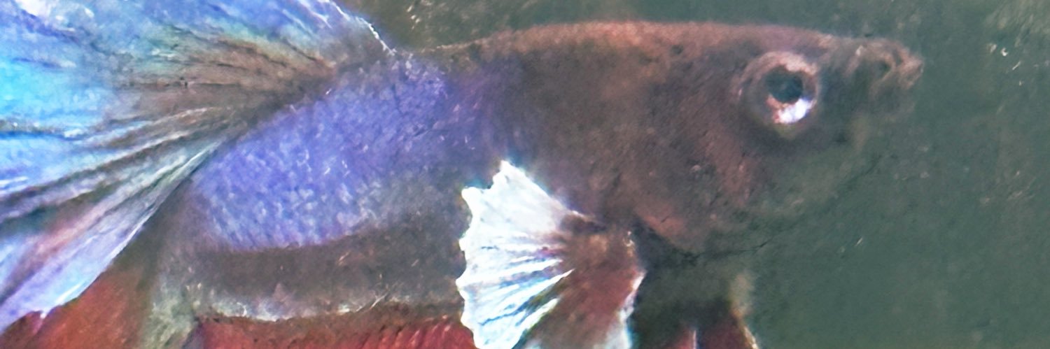 yunstiel's profile banner image