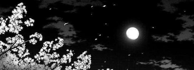 shelllunaaa78's profile banner image