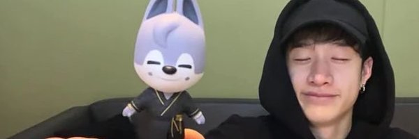 wombbatical Profile Banner