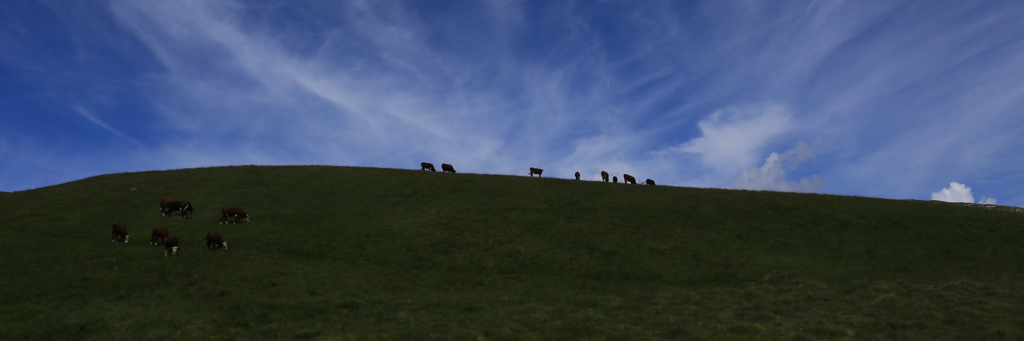 Pharmoclin's profile banner image