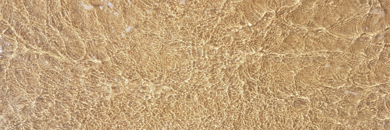 Gema Esteban Garrido banner