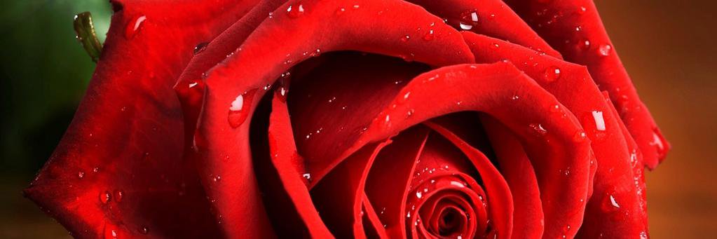 Badbodybrokenbe's profile banner image
