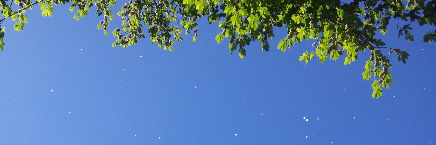 JanRoFischer's profile banner image