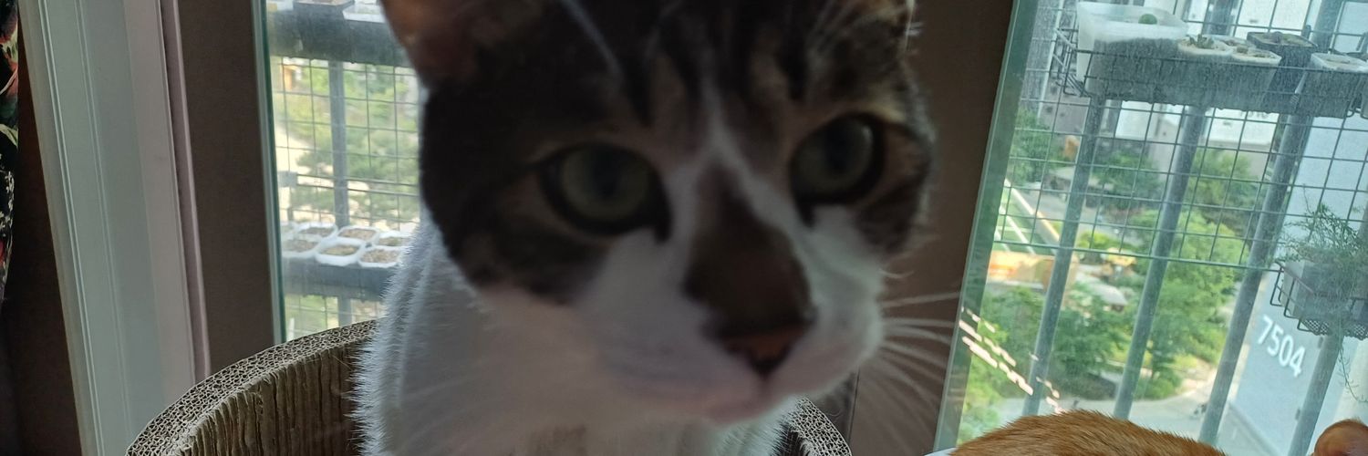 KJIHOON_DDR's profile banner image