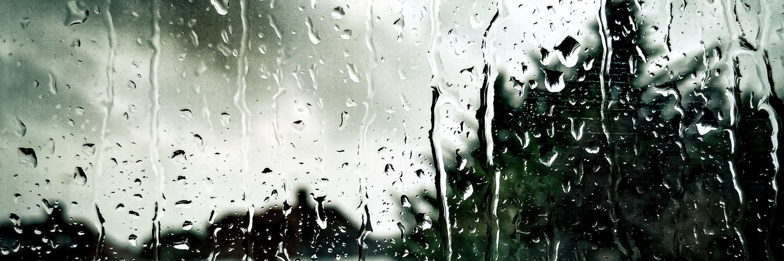 Micha Claydon banner