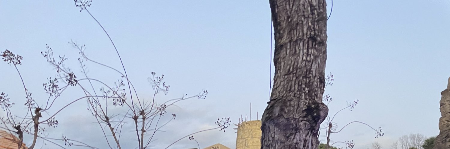 ninininlo's profile banner image