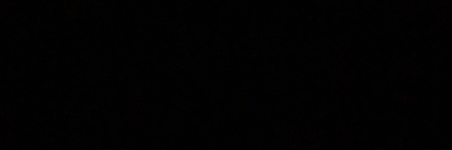 VtrNicole's profile banner image