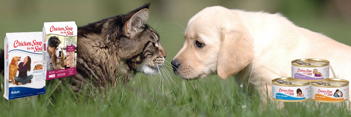ChickenSoupPets's profile banner image