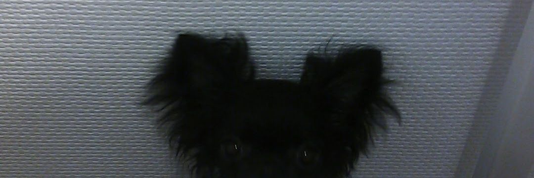 N0904Yu's profile banner image