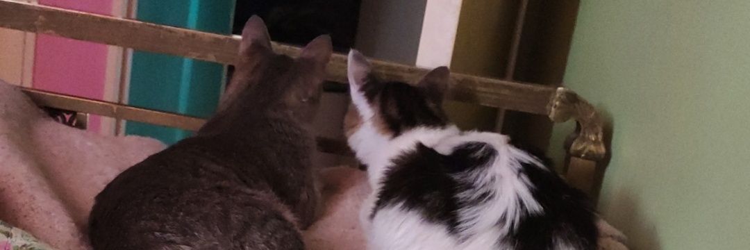 JoseLahoz9's profile banner image