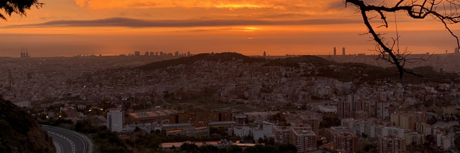 Victòria Valls banner