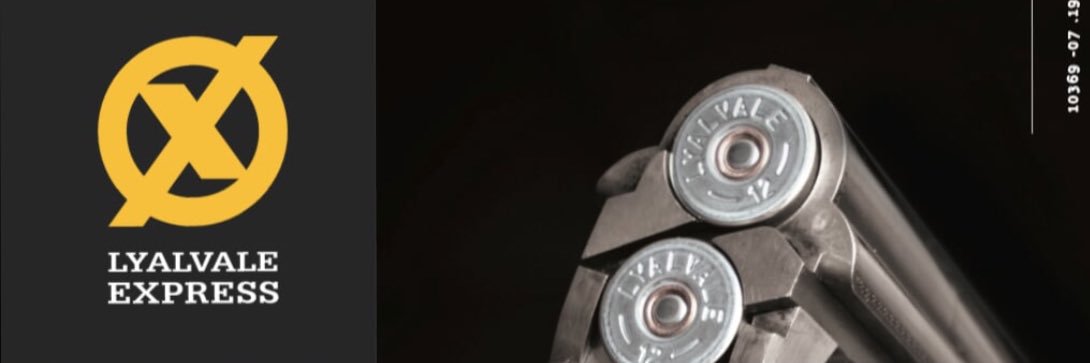 lyalvaleexpress's profile banner image