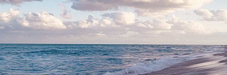nitanbarbara's profile banner image