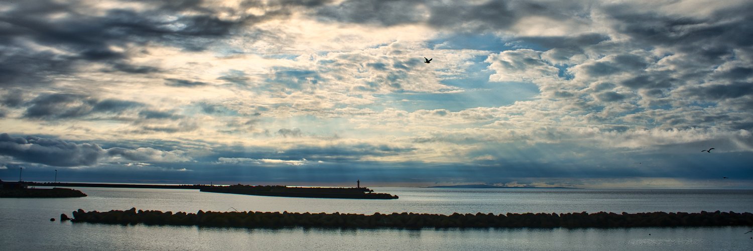 しまむらくん🪽 banner