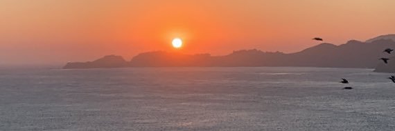 thais_btn's profile banner image